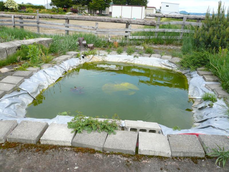 detached 上川郡 当麻町 中央3区